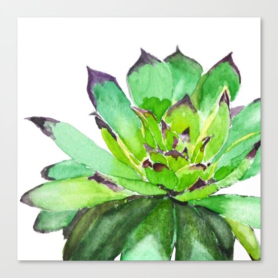 green succulent 2 Canvas Print