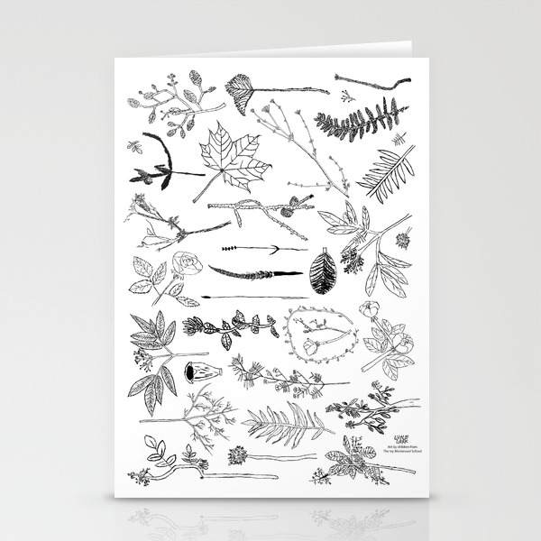 Botanical Drawings By Young School Kids Artists Profits Are