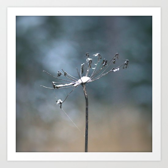 Unsophisticated Art Print