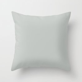 Engagement Silver Throw Pillow