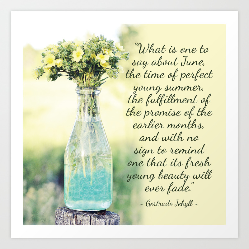 images Summer June Quotes And Sayings what about june in celebration of early summer photograph with a quote art print