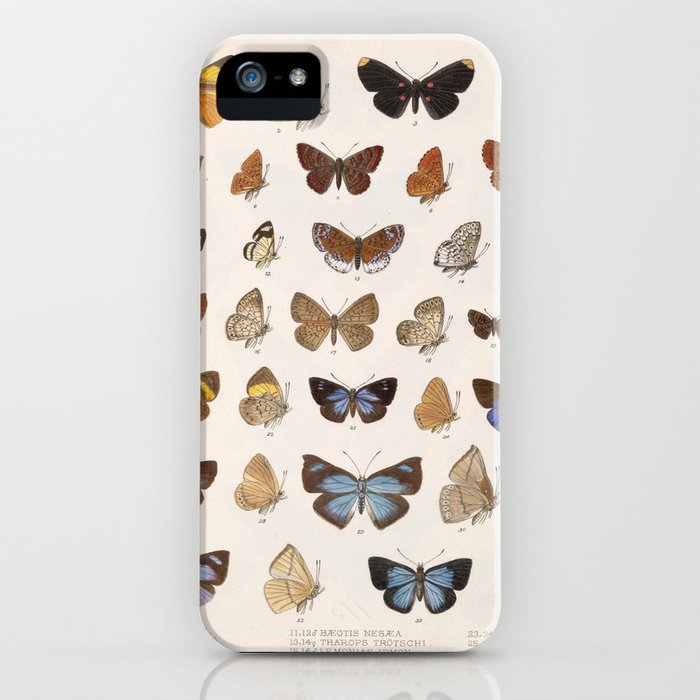 vintage scientific insect butterfly moth biological hand drawn species art illustration iphone case