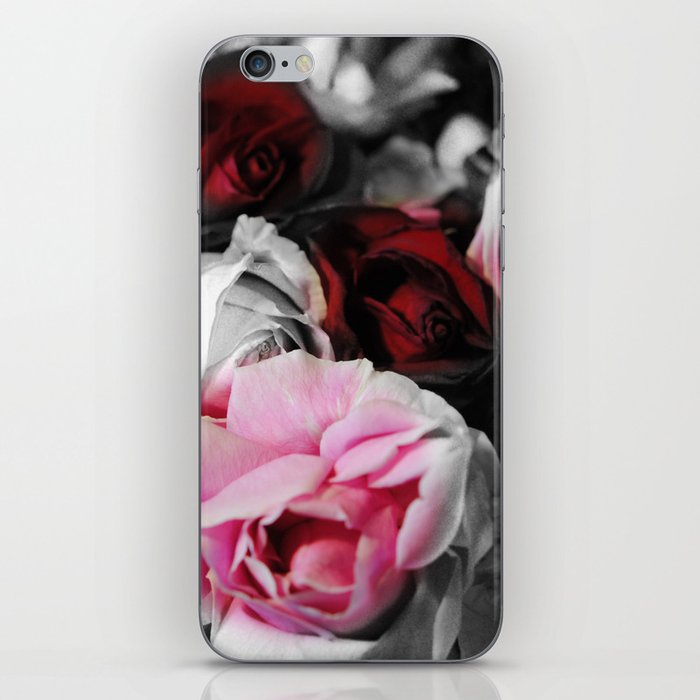 Black and White Roses Fade to Pink and Red iPhone Skin