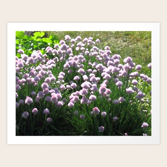 Chives Art Print