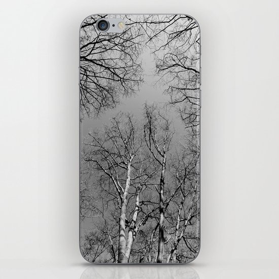 Branching Out iPhone & iPod Skin