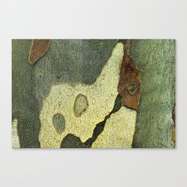 Plane Tree Bark 5 Nature Abstract Texture Macro Canvas Print