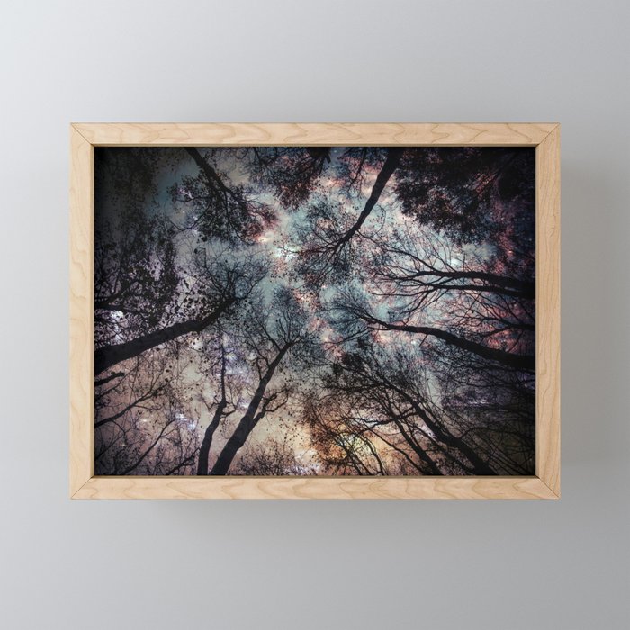 Starry Sky in the Forest Framed Mini Art Print