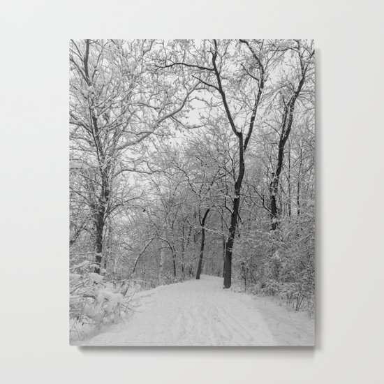down the snowy path Metal Print