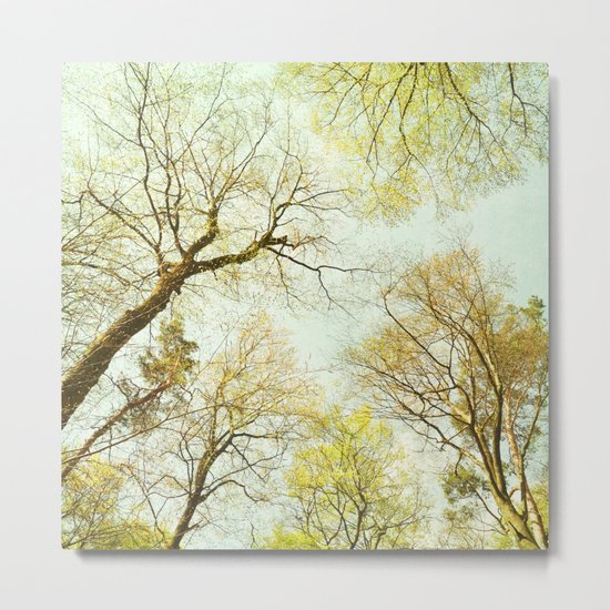 early spring treetops Metal Print