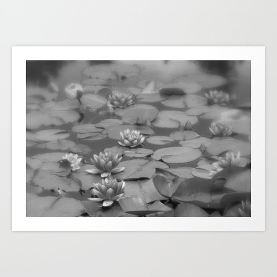 Calm Art Print