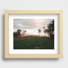 Rice paddies. Recessed Framed Print