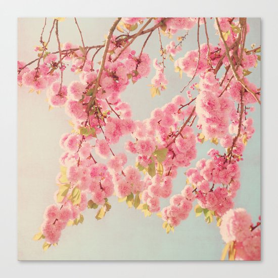 spring blossoms Canvas Print