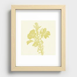 Mullein Flower - Soft Yellow Recessed Framed Print