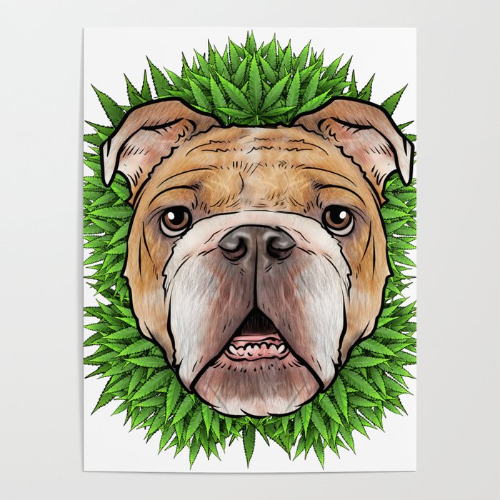 English Bulldog With Weed Background Poster by KalanisArtDesigns | Society6