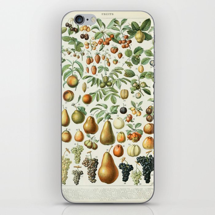 Vintage Fruit Poster 2 - Adolphe Millot iPhone Skin