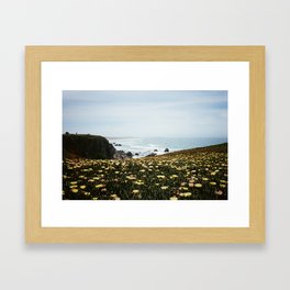 Wildflowers on the 1 Framed Art Print