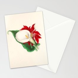  Calla Lily by Clarissa Munger Badger, 1866 (benefitting The Nature Conservancy) Stationery Card