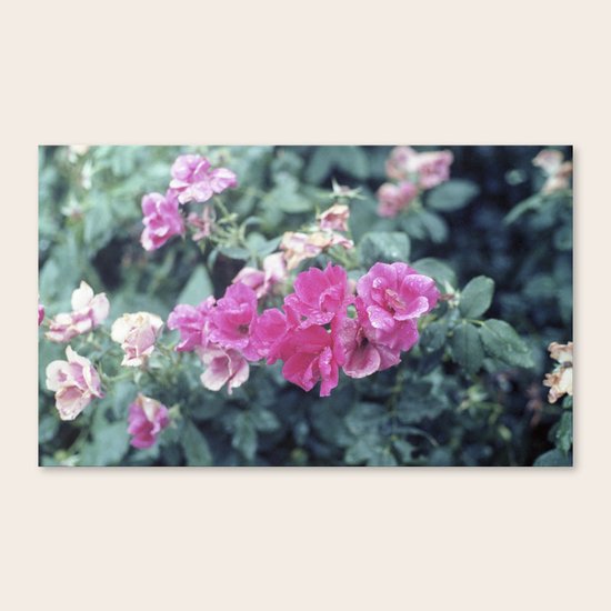 FLORA Canvas Print