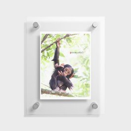 Small Boss Chimp Floating Acrylic Print