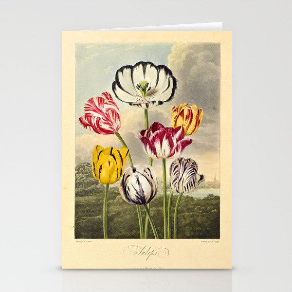 Tulips from "The Temple of Flora," 1812 (benefitting The Nature Conservancy) Stationery Cards