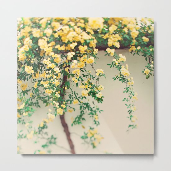 Sunny Days Metal Print