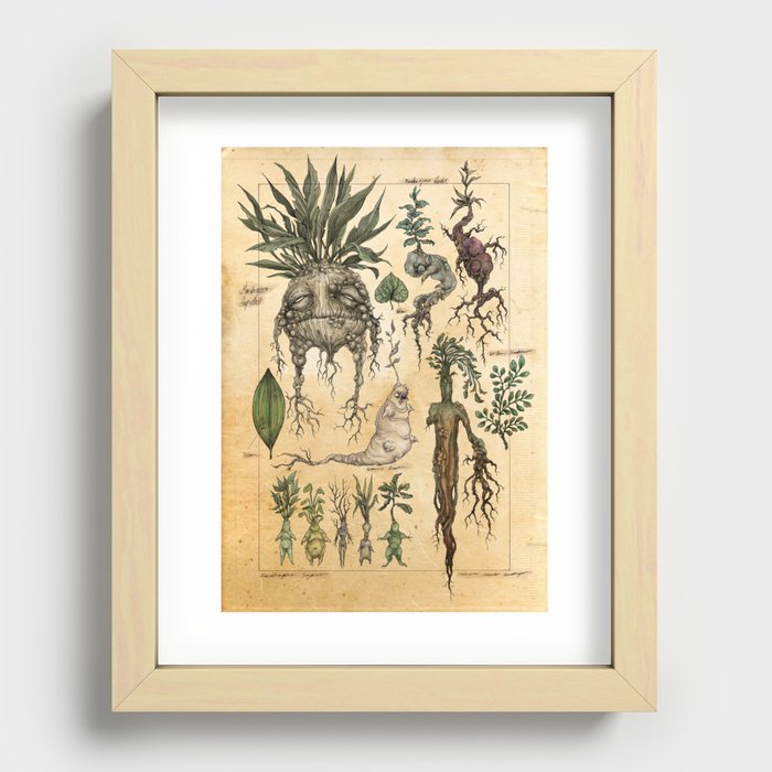 Recessed Framed Print