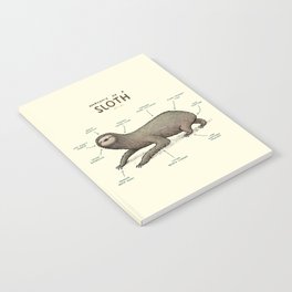 Anatomy of a Sloth Notebook