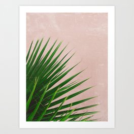 Summer Time | Palm Leaves Photo Art Print