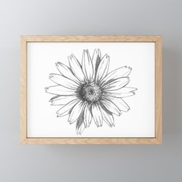 Daisy Flower Framed Mini Art Print