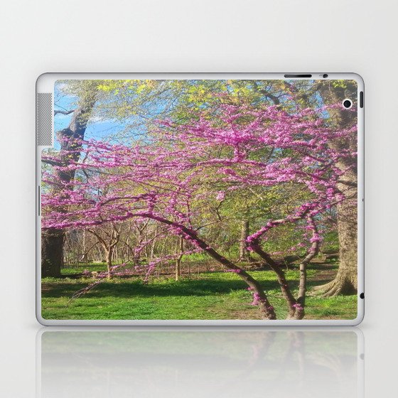 Blooming Spring Scenic Park Landscape Laptop & iPad Skin