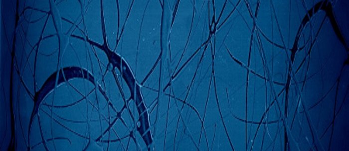 Navy Blue Jackson Pollock Style Famous Artists Abstract