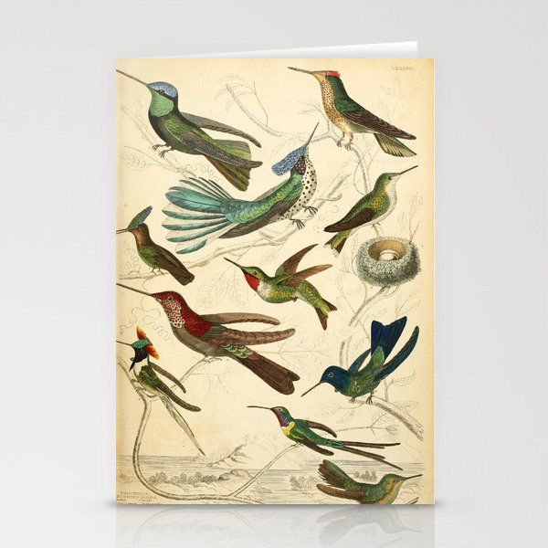 Hummingbirds from The Edinburgh Journal, 1835 (benefitting The Nature Conservancy) Stationery Cards