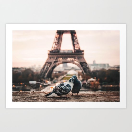 Lover Doves in Paris Art Print