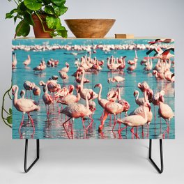 South Africa Photography - Beautiful Pink Flamingos In A Lake Credenza