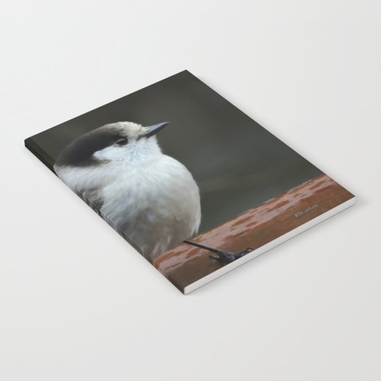 Gray Jay Notebook