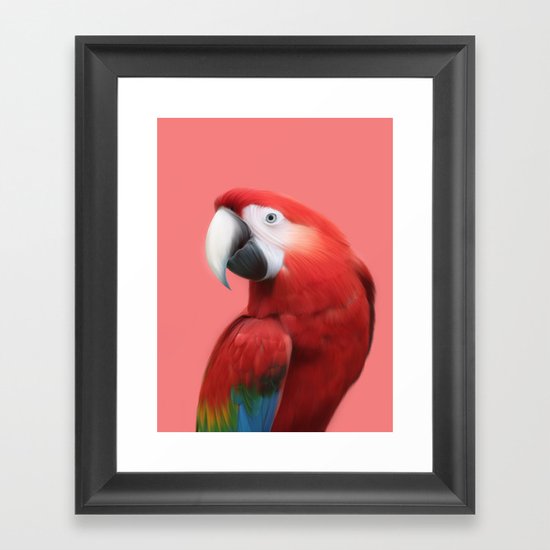 Scarlet Macaw Framed Art Print