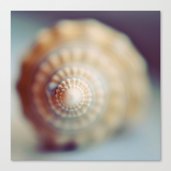 Shell Canvas Print