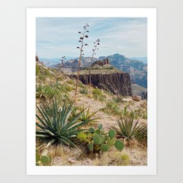 Arizona Desert Garden Art Print