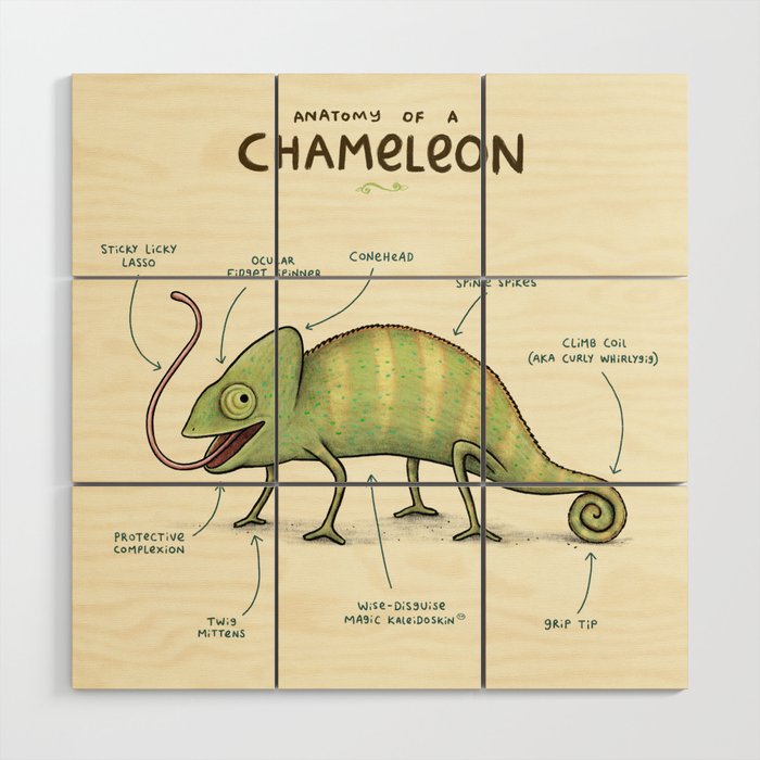 Anatomy of a Chameleon Wood Wall Art