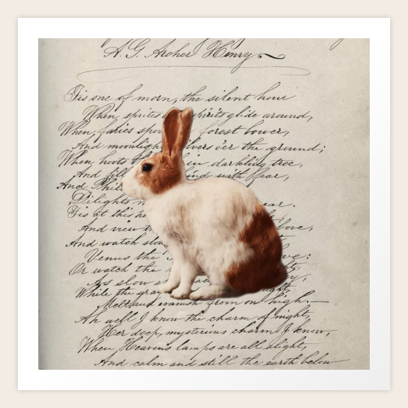 magical fairy woodland nursery easter bunny wild hare rabbit art print by chicelegantboutique