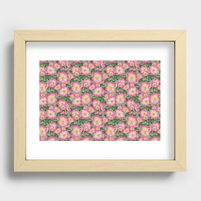 Wild roses pink - green background Recessed Framed Print
