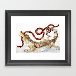 Spectacled Caiman and a False Coral Snake by Maria Sibylla Merian c.1705-10 // Wild Animals Decor Framed Art Print