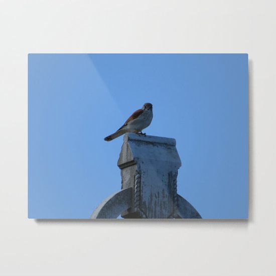 Hunt Amongst The Dead Metal Print