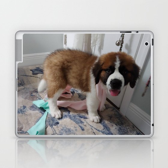 Saint Bernard Laptop & iPad Skin