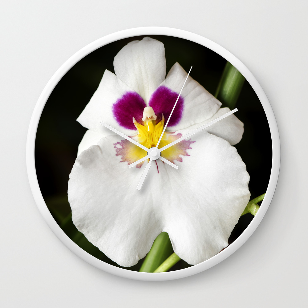 Pansy Orchid Wall Clock By Floatingpetals Society6