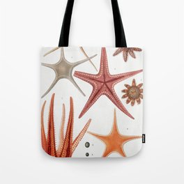 Starfish varieties set  from Resultats des Campagnes Scientifiques by Albert I Prince of Monaco (184 Tote Bag