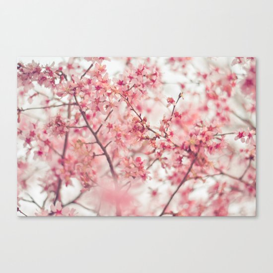 Spring is here. Canvas Print