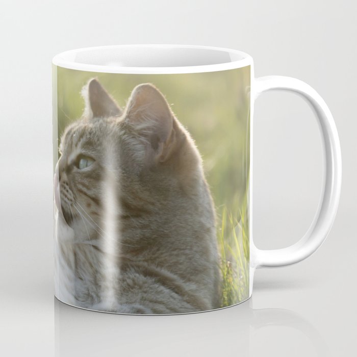 Tabby cat Coffee Mug