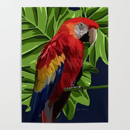 Parrot  Poster