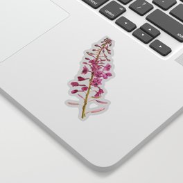 Flowers of fireweed Sticker
